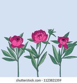 Floral ornament with peonies on the blue background. Summer garden. Vector illustration for textile prints.