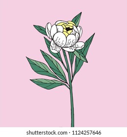 Floral ornament with peony isolated on the light background. Summer garden. Vector illustration for textile prints.