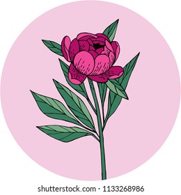Floral ornament with peony isolated on the round frame. Summer garden. Vector illustration for textile prints.
