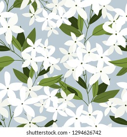 jasmine flower wallpaper