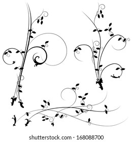 Floral ornament. Vector illustration