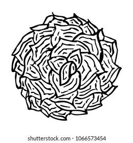 Floral ornament vector illustration. Hand sketched vintage elements. Spring or summer design for invitation, wedding or greeting cards. Graphic style.