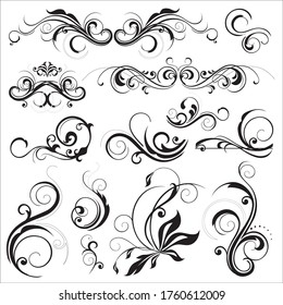 floral ornament vector with white background