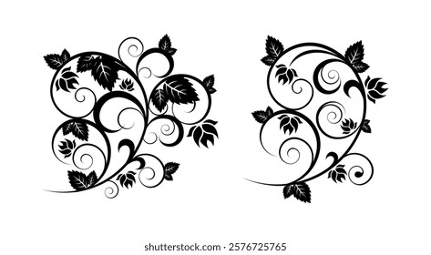 Floral Ornament Vectors Art on White Background