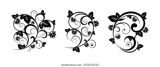 Floral Ornament Vectors Art on White Background