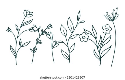 Vector de paquete de elementos ornamentales florales