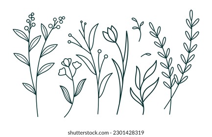 Vector de paquete de elementos ornamentales florales