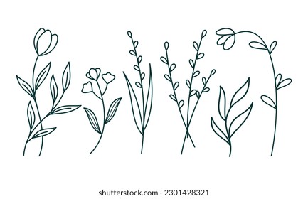 Floral ornamental element pack vector