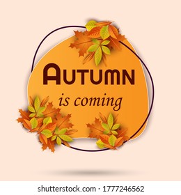 Floral ornamental illustration in vector format. Autumn postcard, banner or lable.