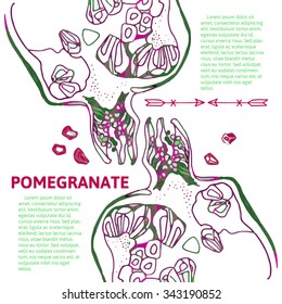 Floral ornamental illustration in vector format. Pomegranate postcard, banner or label
