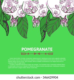 Floral ornamental illustration in vector format. Pomegranate postcard, banner or lable