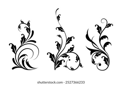 Floral ornaments collection on Black Colour
