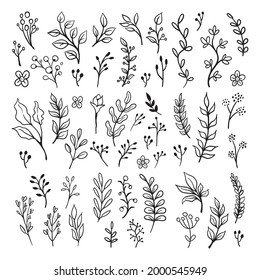 Floral ornaments doodle set. Hand drawn tree branches with leaves and flowers