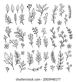 Floral ornaments doodle set. Hand drawn tree branches with leaves and flowers