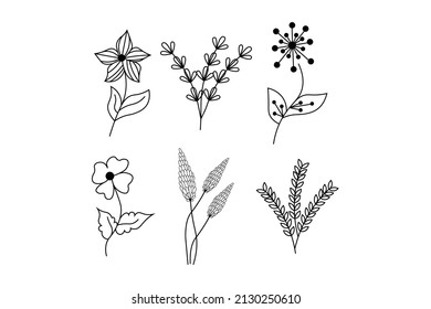 floral outline vector set, natural leaf and branch, line art design set, flower and leaves line drawing