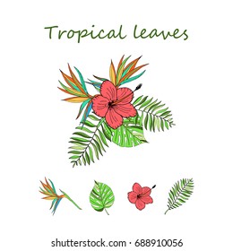 Floral paradise hand drawn tropical leaves. Vector illustration