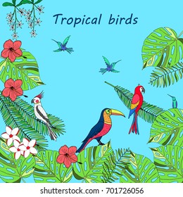 Floral paradise hand drawn tropical birds. Vector illustration