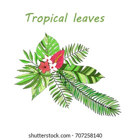 Floral paradise hand drawn tropical leaves. Vector illustration