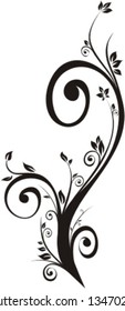 floral pattern