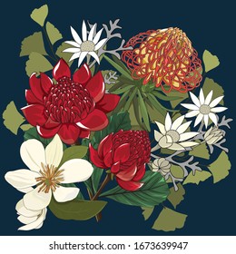 floral pattern of australia native plant in bouquet with hand drawn red waratah and white queen magnolia,flannel on navy background good for cushion cover