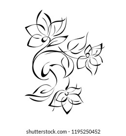 floral pattern in black lines on white background