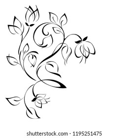 floral pattern in black lines on white background
