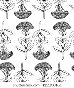 Floral pattern in black on a white background, isolated in graphic style, stock vector illustration for design and decoration, wrapping paper, fabrics, douche, scrapbooking