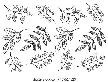 Floral pattern with branches and leaves.