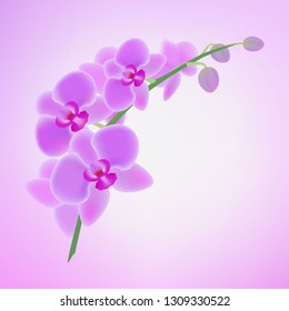 Floral pattern with bright pink purple orchid on light purple background. Exotic tropical flowers. Vector design illustration. Tropic floral  background.