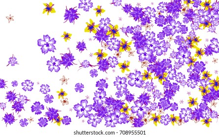 Floral Pattern for Brochure, Poster, Banner, Notepad or Book Cover. Background with Little Flowers in Vintage Style. Gentle Horizontal Pattern