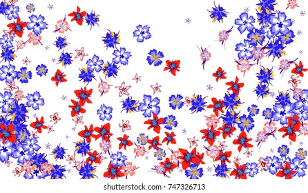 Floral Pattern for Brochure, Poster, Banner, Notepad or Book Cover. Background with Little Flowers in Vintage Style. Gentle Horizontal Pattern