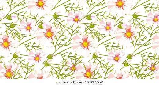 Floral pattern chammomile. Florals vector surface design.