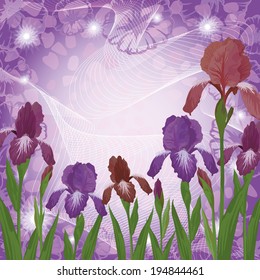 Floral pattern, colorful flowers iris and frame of contours ipomoea on abstract background. Eps10, contains transparencies. Vector