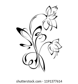 floral pattern with curls in black lines on white background