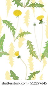 floral pattern with dandelions