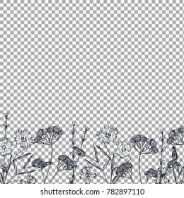 Floral pattern with field flowers and lavender on transparent background. Hand drawn flowers sketch. Vector illustration.