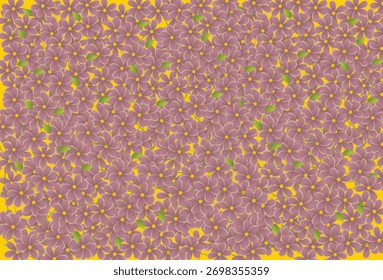 Padrão floral, Texturas de flores, Planos de fundo de flores, Planos de fundo florais, Padrão de flores