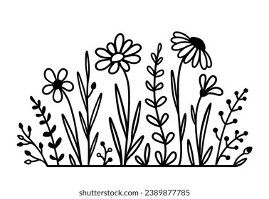 floral pattern with flowers, daisy, chamomile, wildflowers wild herbs, branches with leaves silhouettes