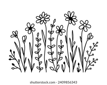 floral pattern with flowers, daisy, wildflowers wild herbs, branches with leaves silhouettes