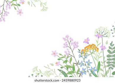 Floral pattern. Frame of delicate wildflowers and leaves, plants, branches and meadow grass on a white background. Flower border. Vector illustration for card, greetings, invitations, wedding decor