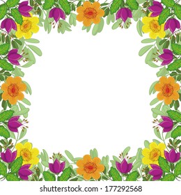 Floral pattern, frame of flowers and green leafs isolated on white background. Eps10, contains transparencies. Vector