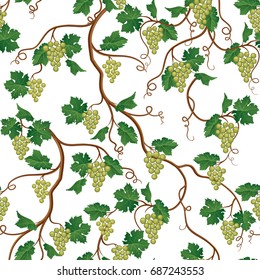 Floral pattern with grape branch. Wineyard seamless wallpaper. Garden background