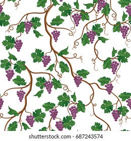 Floral pattern with grape branch. Wineyard seamless wallpaper. Garden background