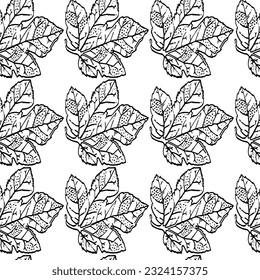 Patrón floral mano dibujada sobre un fondo blanco
