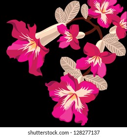 Floral pattern , hand-drawing. Vector illustration.