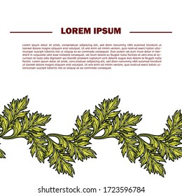 Floral pattern with herbs. A banner with a seamless border with space for your text.