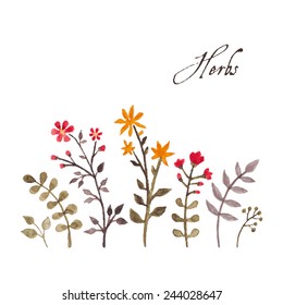 Floral pattern with herbs and leaves