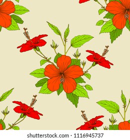 Floral pattern with hibiscus 