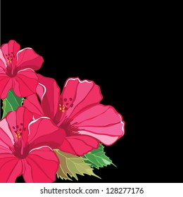 Floral pattern with hibiscus, hand-drawing.
