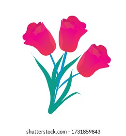 Ilustración de patrón floral sobre fondo blanco